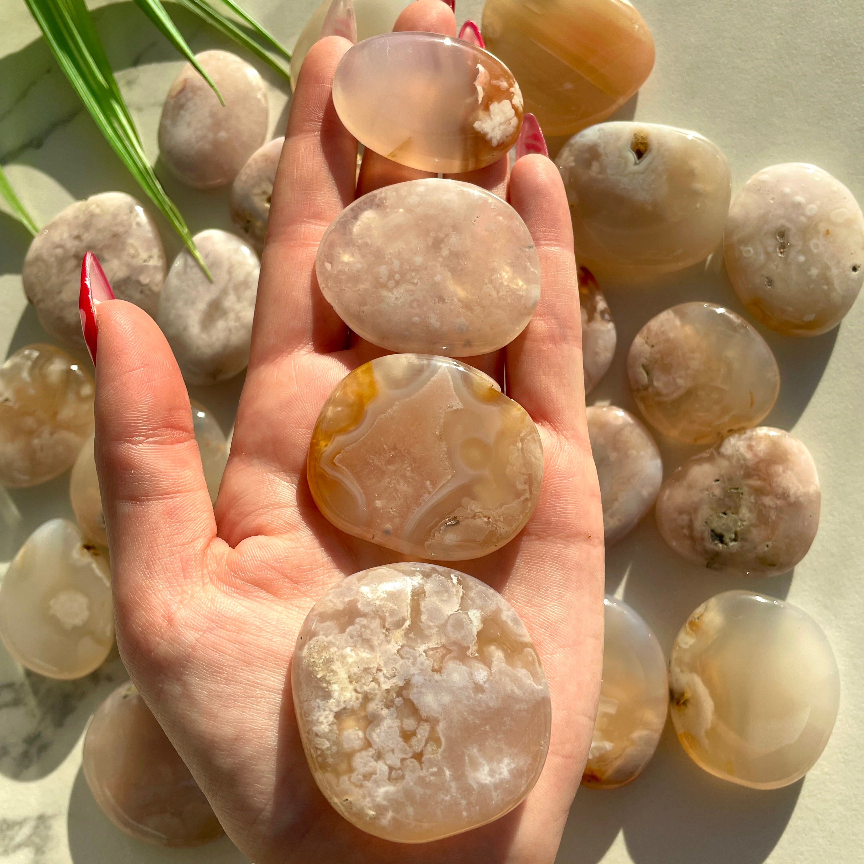 Pocket Palm Stone - Blossom Agate Pocket Palm Stone - Blossom Agate